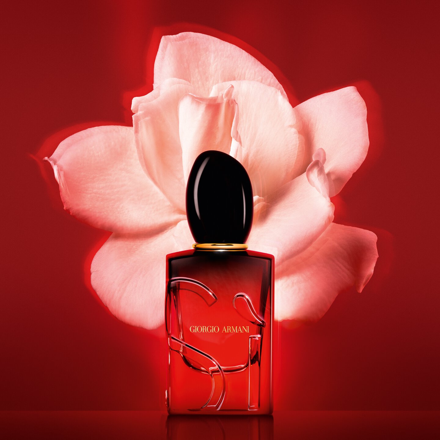 العطور النسائية