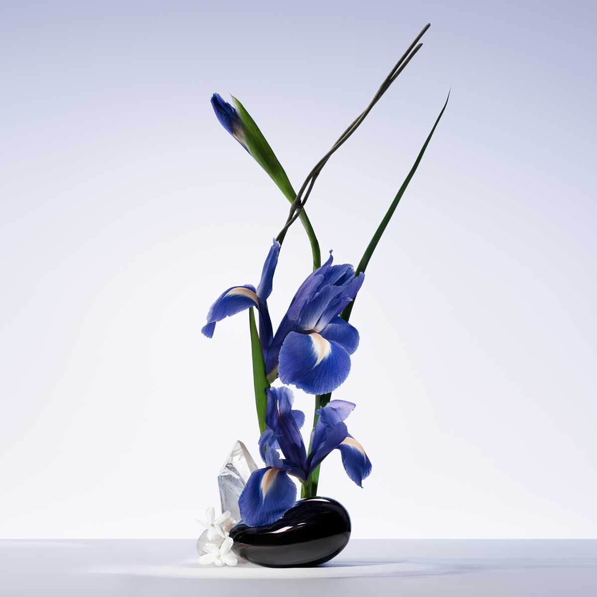 armani priv  iris bleu eau de toilette