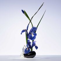 armani priv  iris bleu eau de toilette