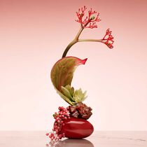 armani priv  rouge malachite