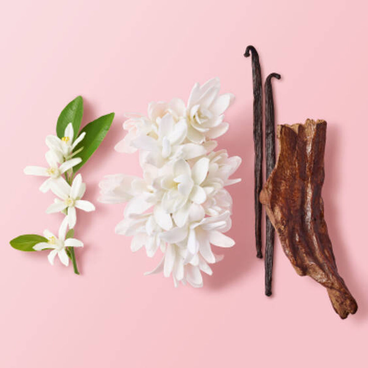 عطر ماي واي أو دو بارفان إنتانس