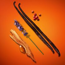 عطر إمبوريو أرماني سترونغر ويذ يو إنتانسلي