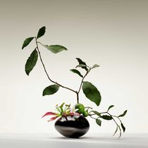عطر تيه يولونغ من أرماني بريفيه