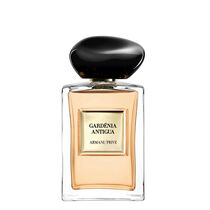 armani priv  gardenia antigua