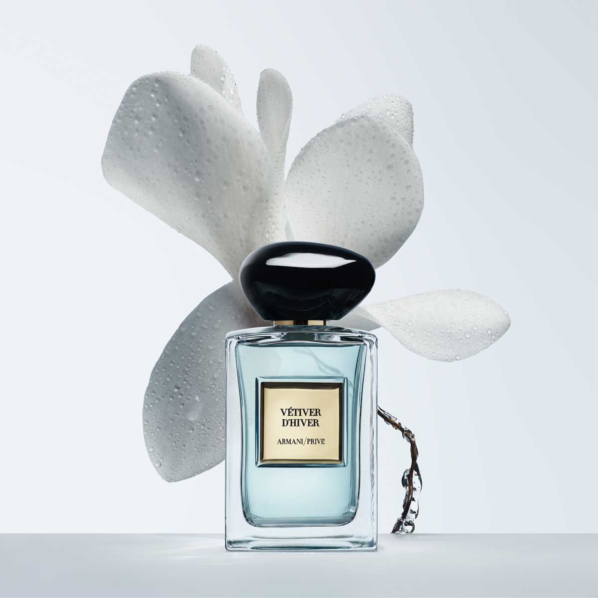 armani priv  vetiver d hiver