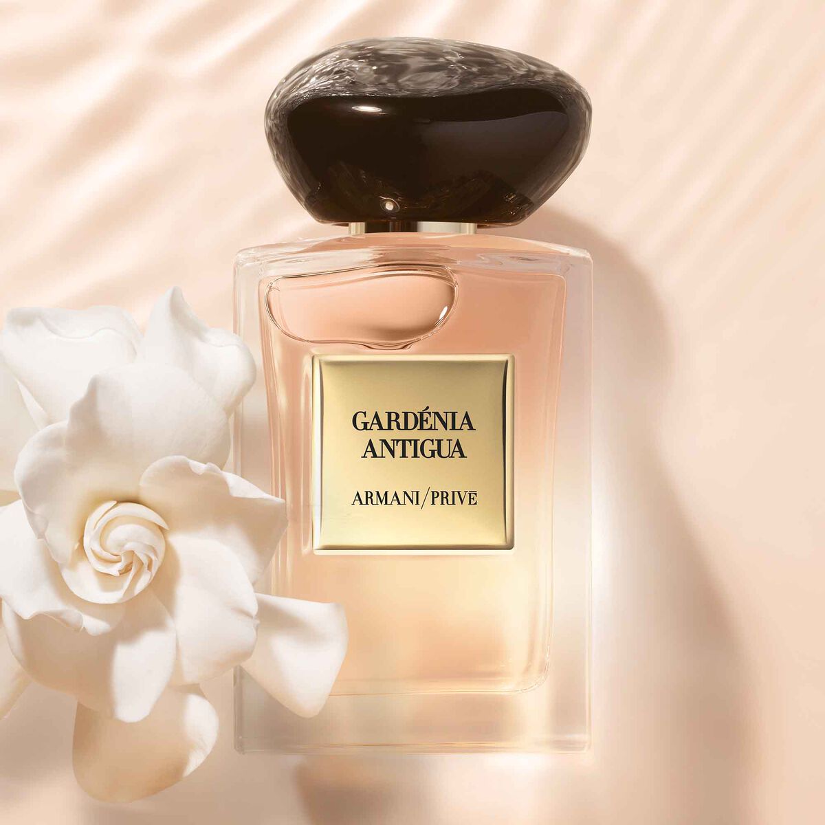 عطر غاردينيا أنتيغوا من مجموعة أرماني بريفيه