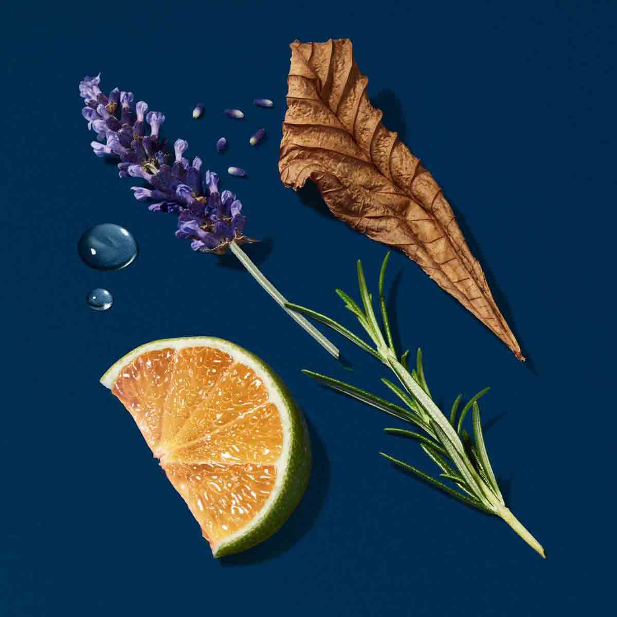 code eau de parfum spring gift set