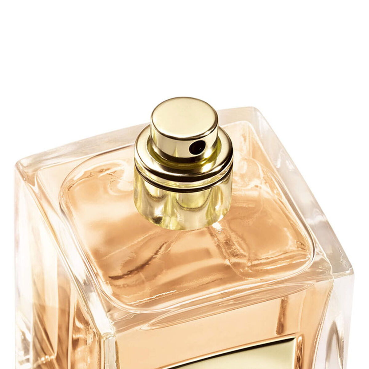 عطر غاردينيا أنتيغوا من مجموعة أرماني بريفيه