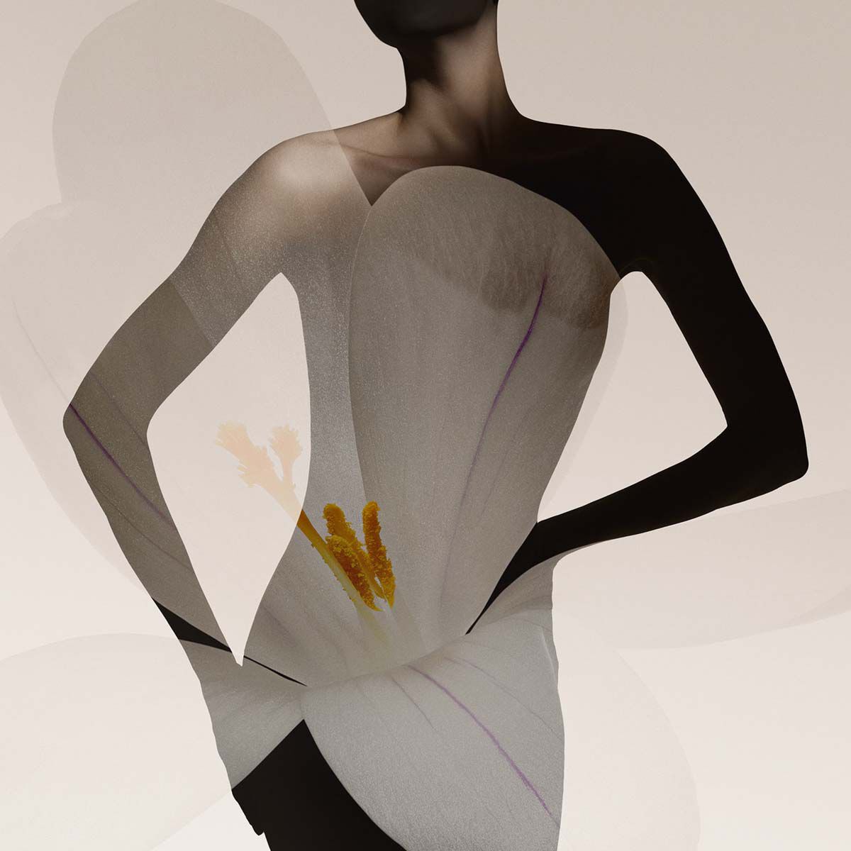 armani priv  oud nacre eau de parfum