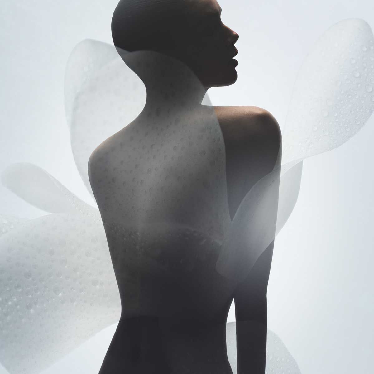 armani priv  vetiver d hiver