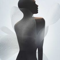 armani priv  vetiver d hiver